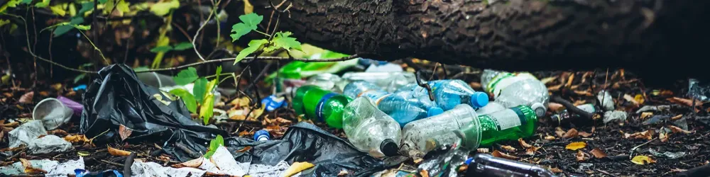 Garbage pile in forest among plants. Toxic plastic into nature everywhere. Rubbish heap in park among vegetation. Contaminated soil. Environmental pollution. Ecological issue. Throw trash anywhere.